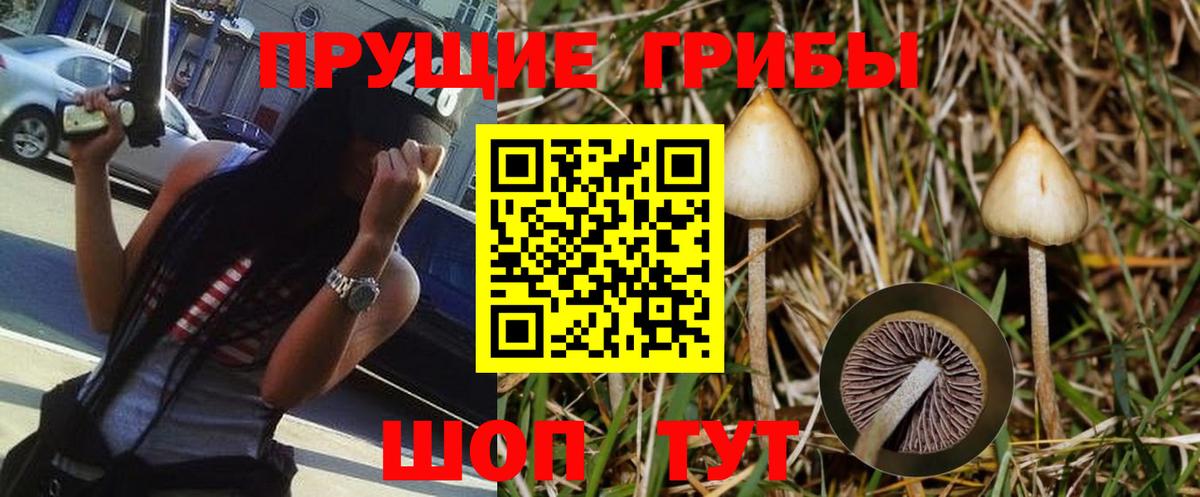Псилоцибиновые грибы ЛСД  как найти закладки  Вязники  Вход с VPN  Галлюциногенные грибы прущие грибы 